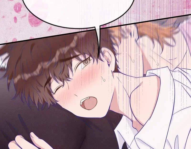 第288页
