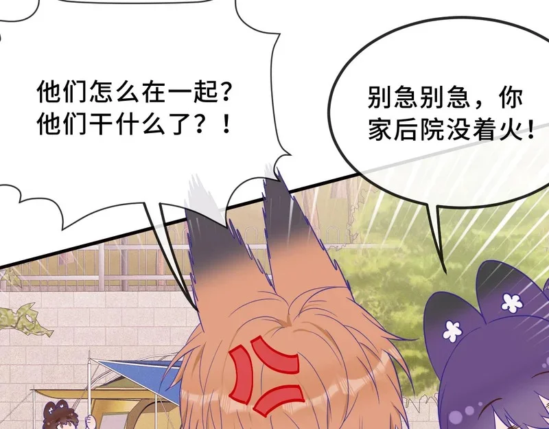 第246页