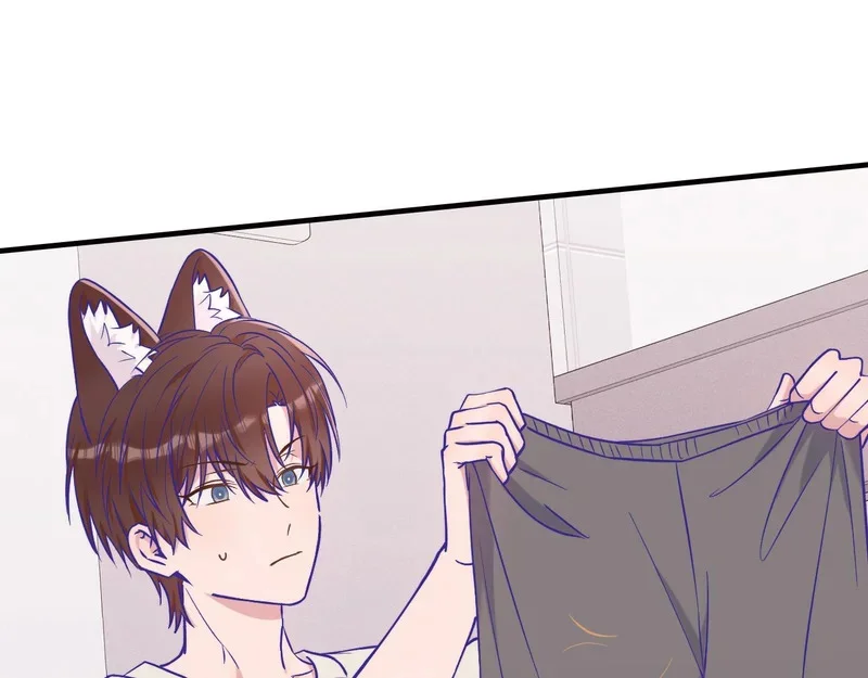 第321页