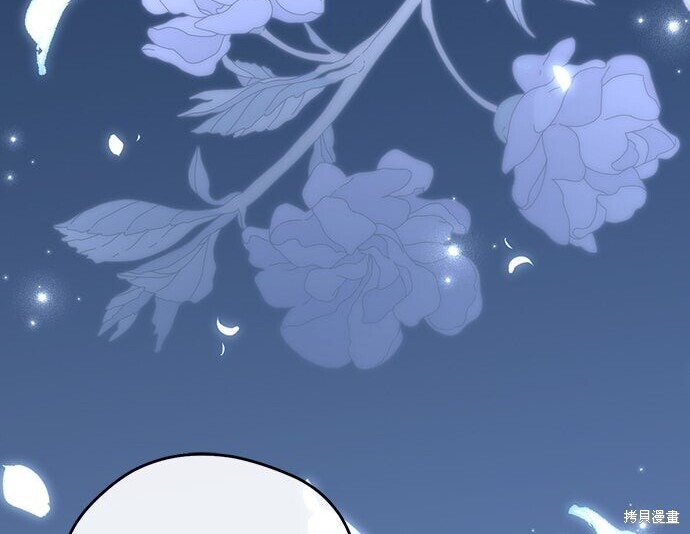 第333页