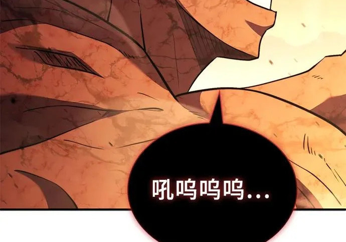 第504页