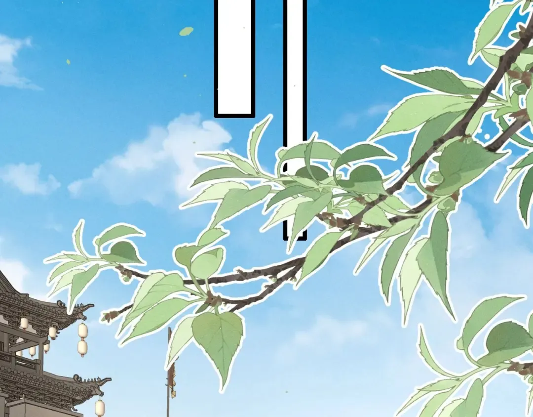 第204页