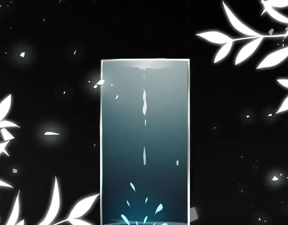 第255页