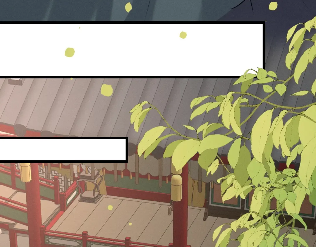 第204页