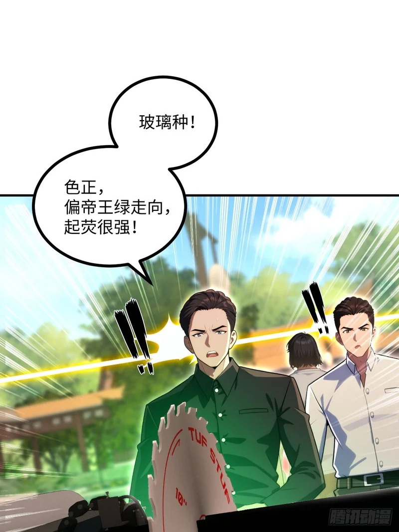 第228页