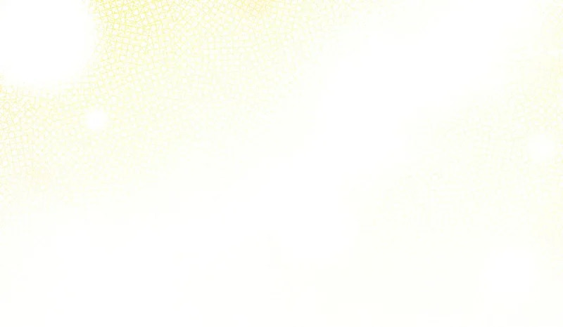 第234页