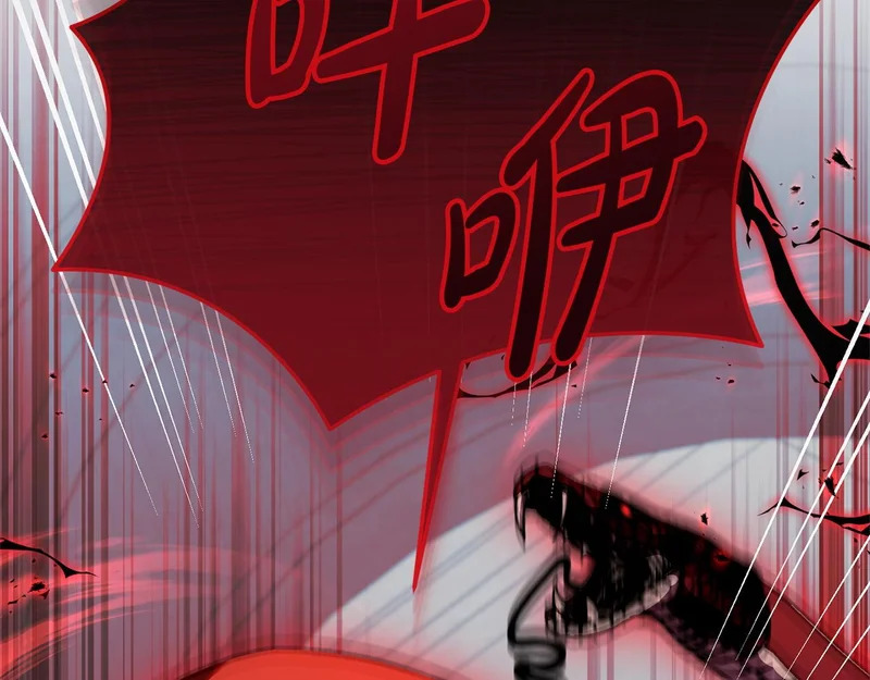 第246页
