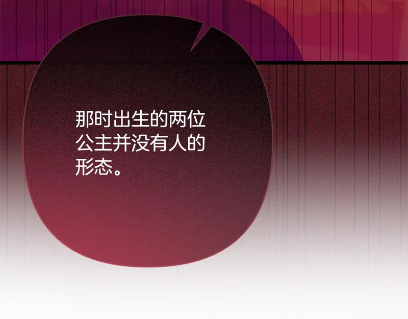 第510页