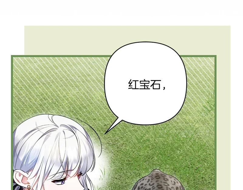 第507页