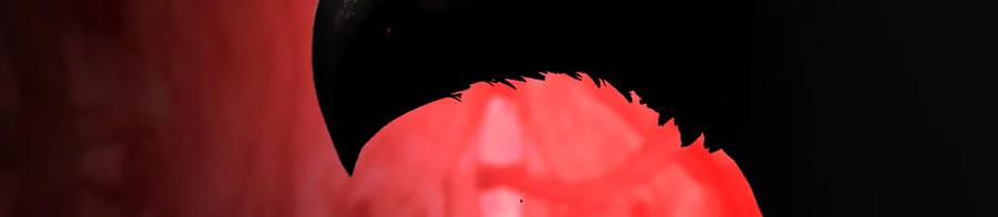 第663页