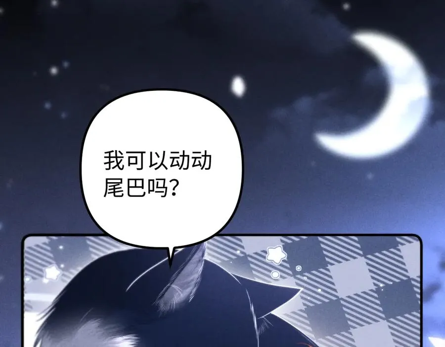 第246页