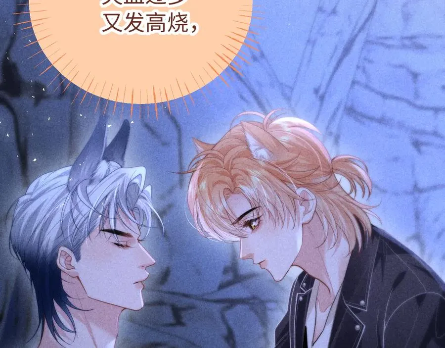 第213页