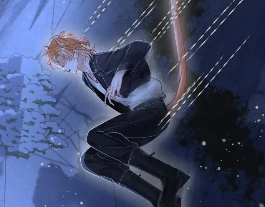 第255页