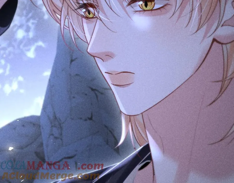 第243页