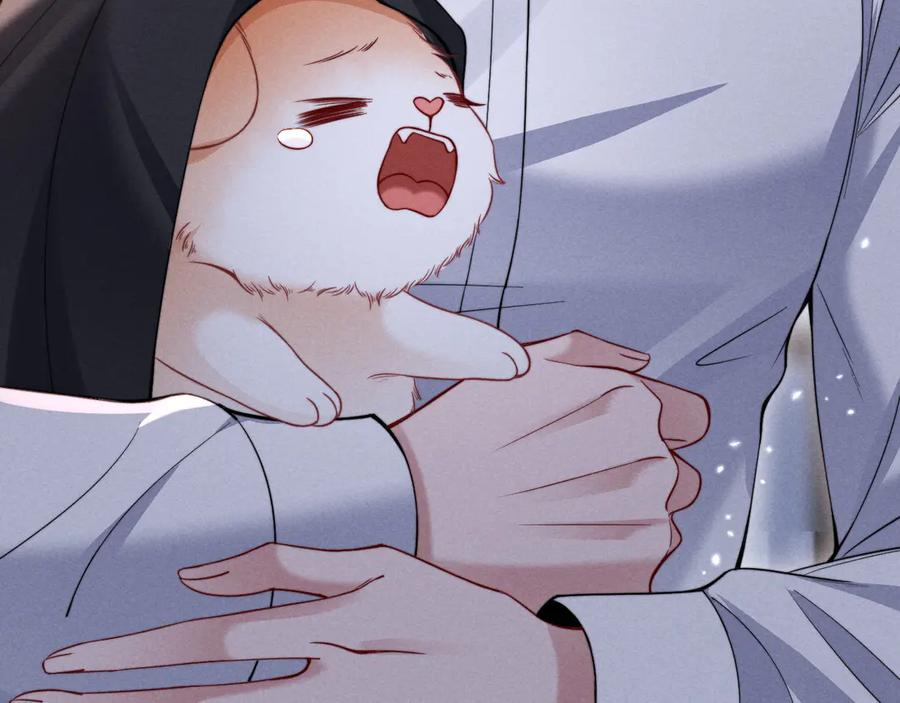 第234页