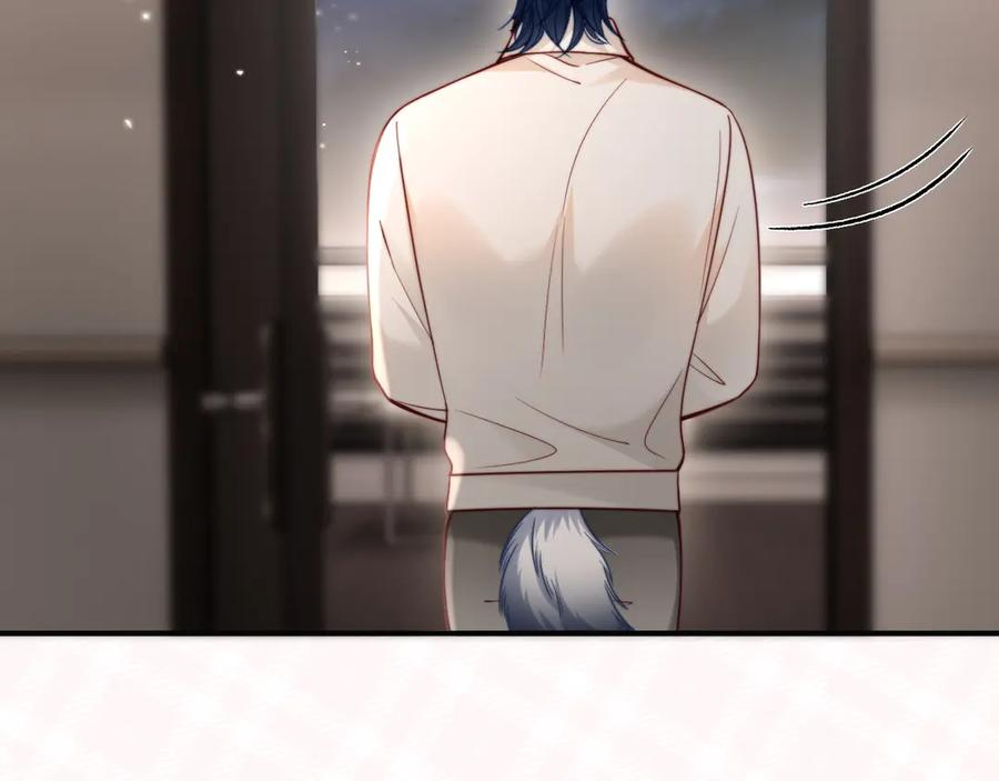 第204页