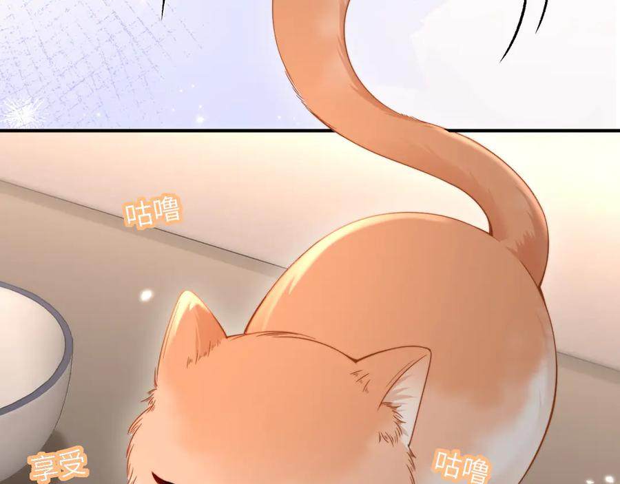 第240页