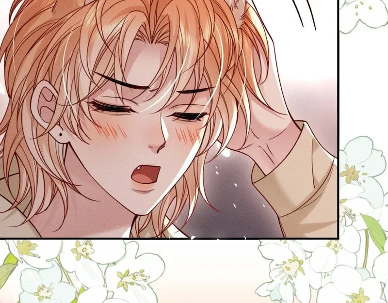 第282页