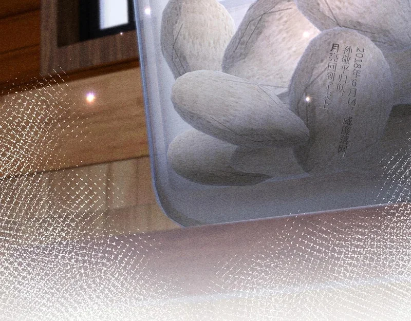 第252页