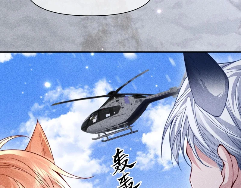 第195页