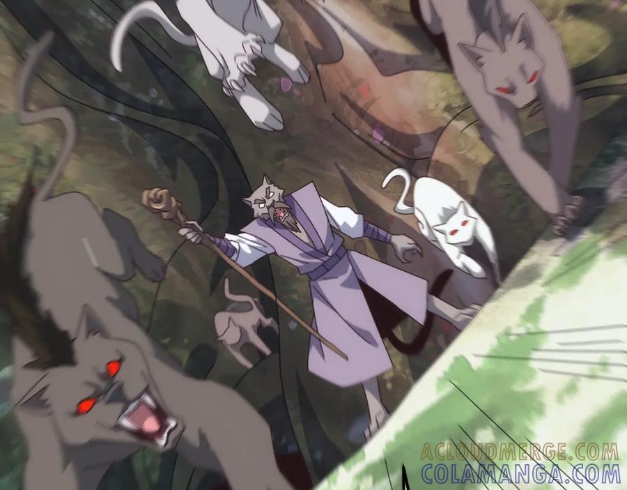 第216页
