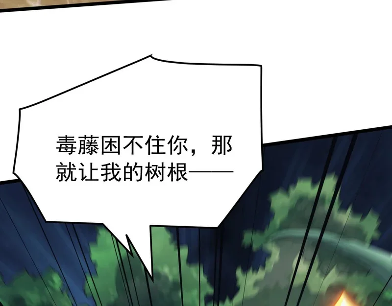 第246页