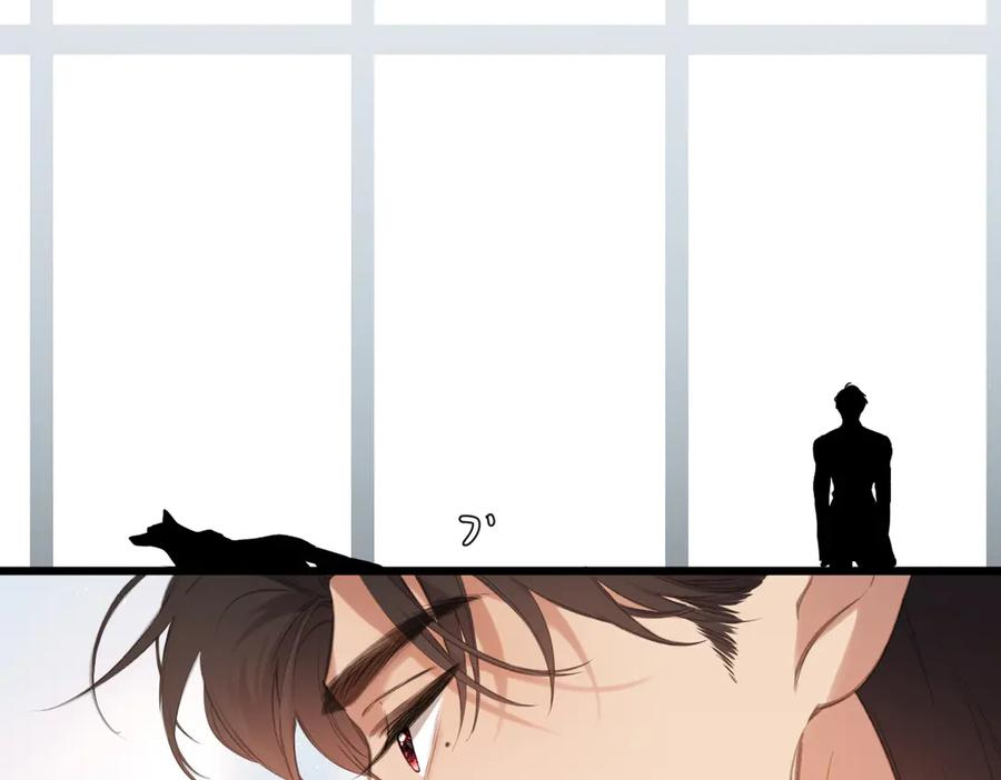 第351页