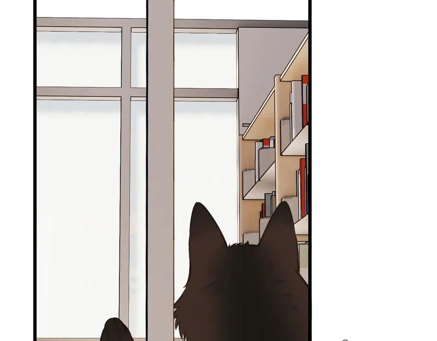第285页