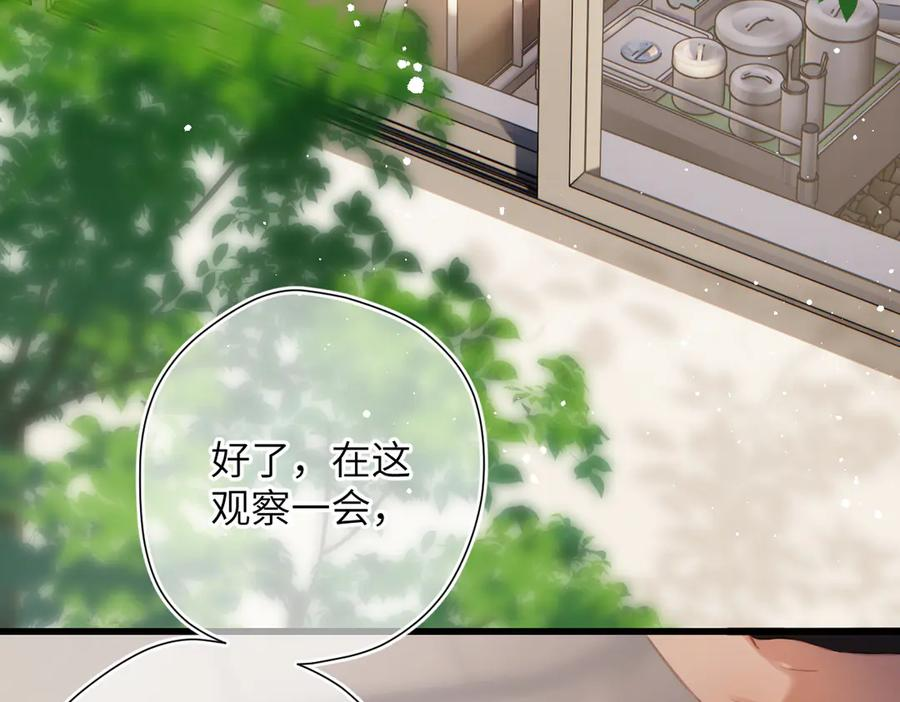 第294页