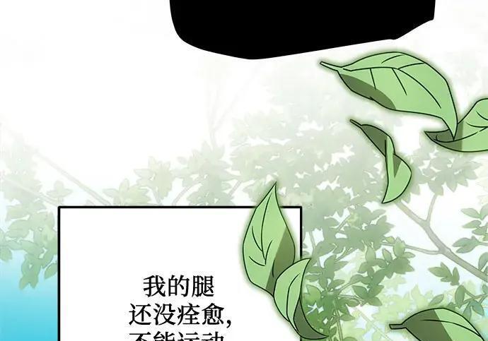 第516页