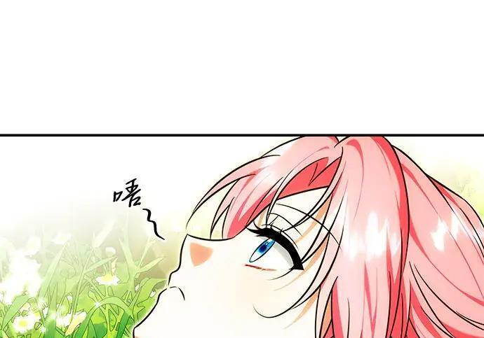 第531页