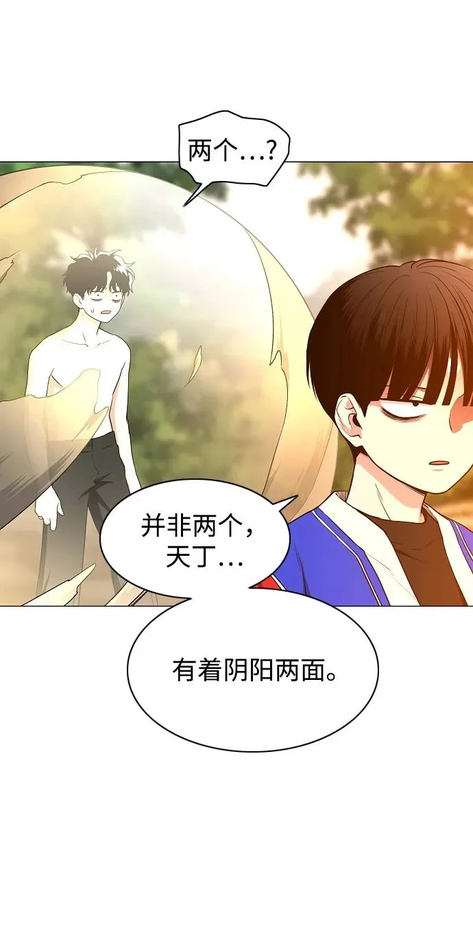 第204页