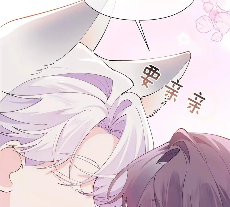 第231页