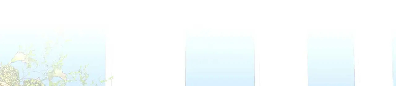 第921页
