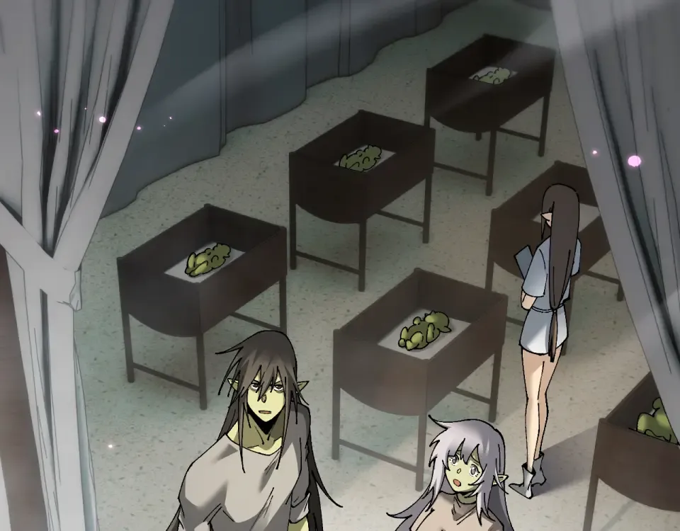 第231页