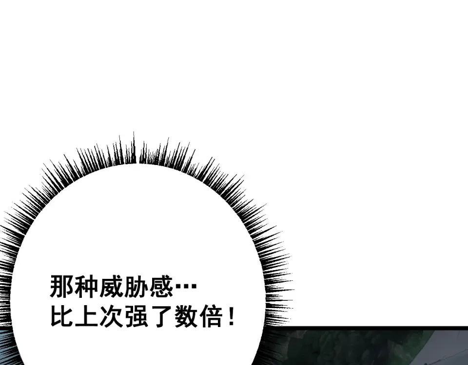 第339页