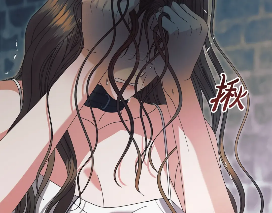 第513页