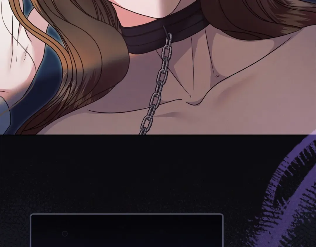 第411页