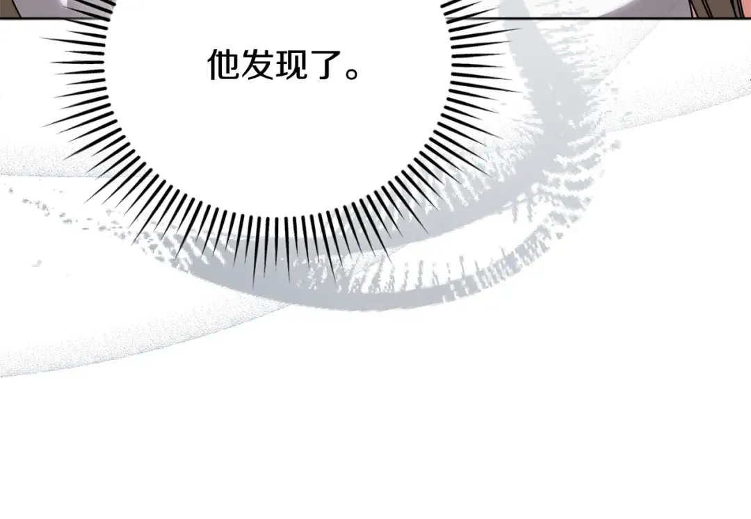 第528页