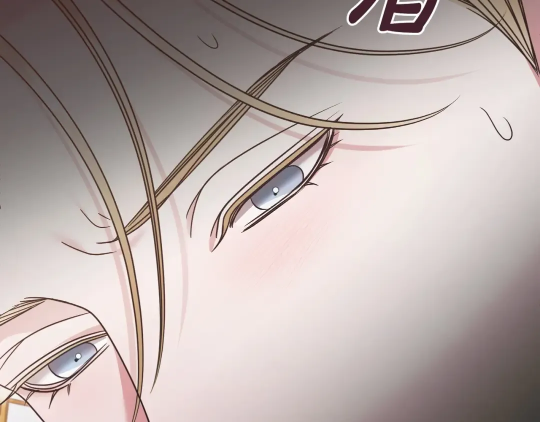 第279页