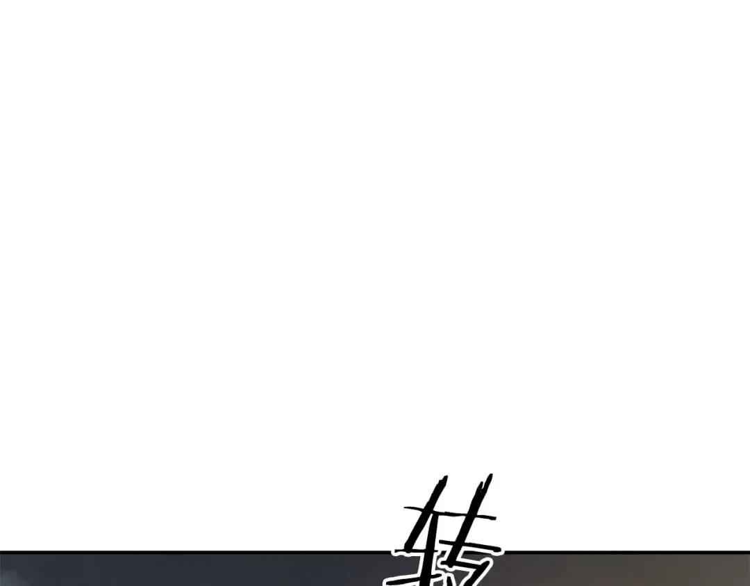 第411页