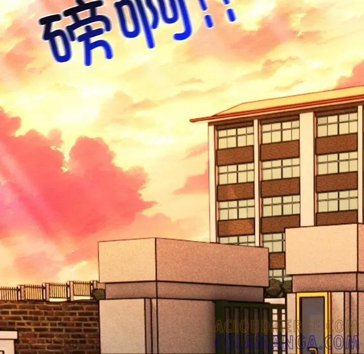 第204页