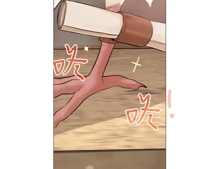 第222页