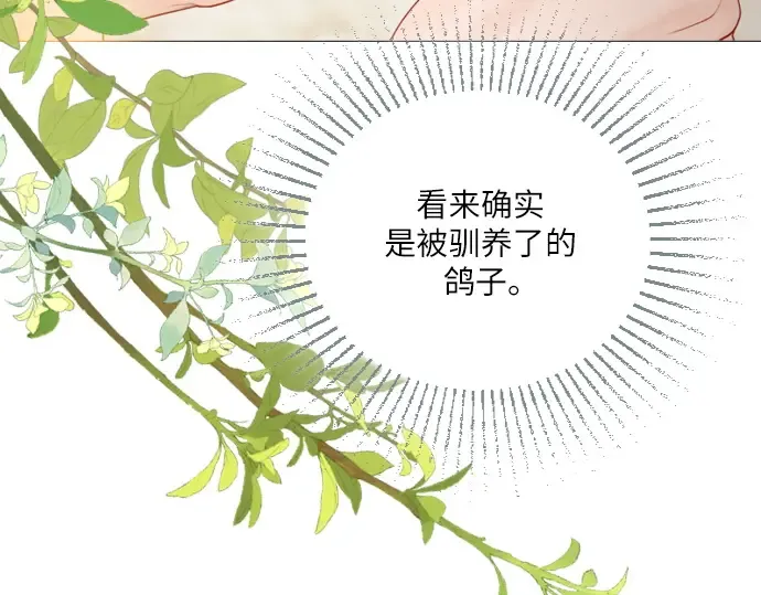第279页