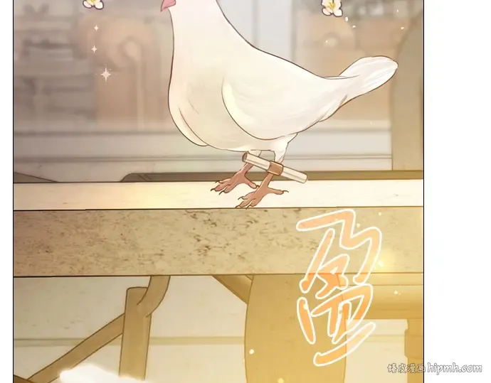 第213页