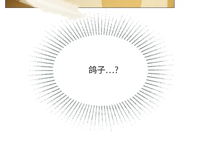 第216页