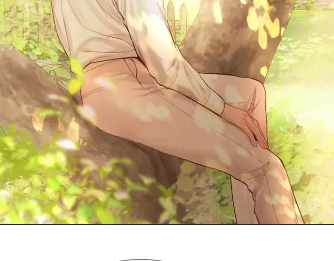 第567页