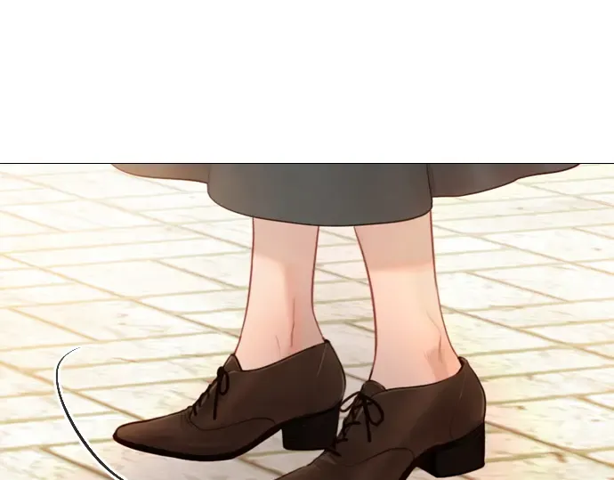 第246页