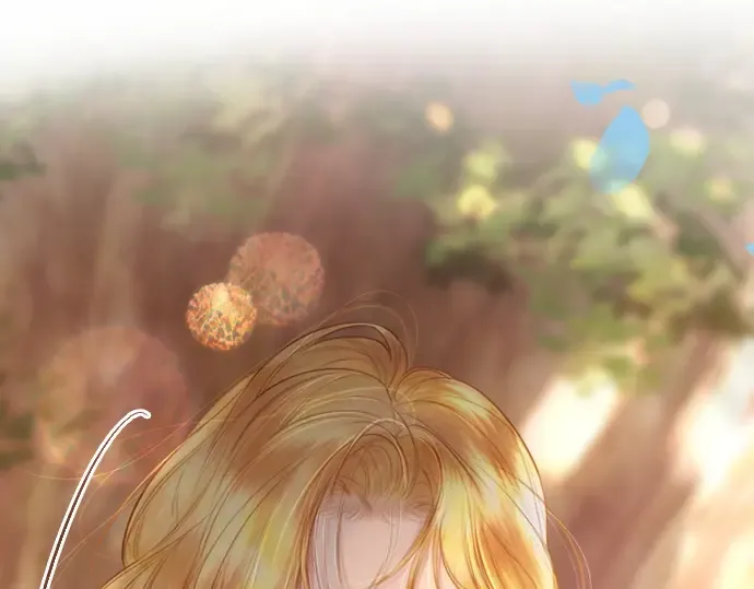 第258页