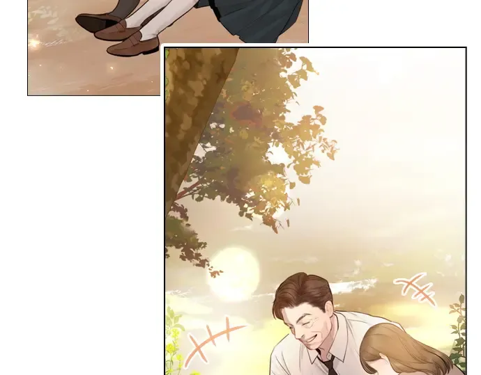 第528页